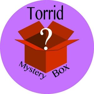 Torrid Size 2 Mystery Box